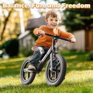 Ridego 12 Inch Balance Bike for Kids 2-4 Year Old,Lightweight Kids Bike with Adjustable Seat, Push Bicycle with Air Rubber Tires，Ride-on Toys Birthday Gift